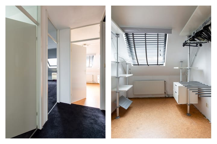 Foto 20 van Grauwe Gans 20