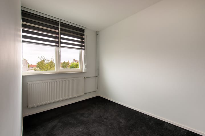 Foto 21 van Grauwe Gans 20