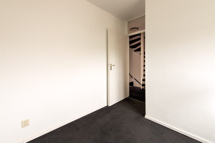 Foto 22 van Grauwe Gans 20