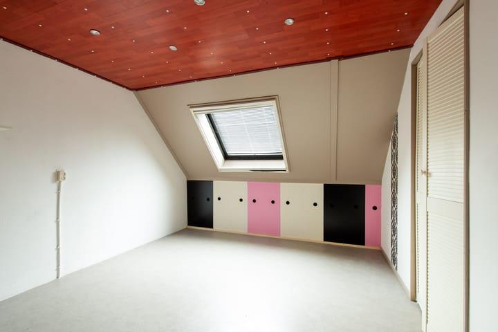 Foto 27 van Grauwe Gans 20