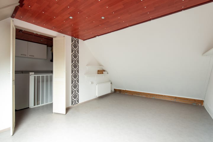 Foto 28 van Grauwe Gans 20