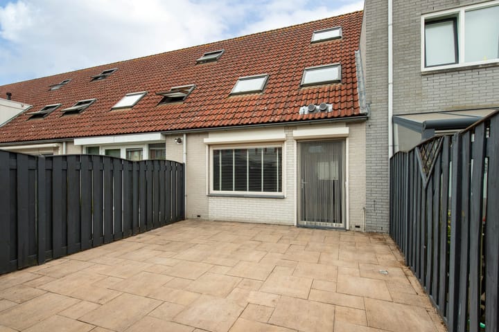 Foto 30 van Grauwe Gans 20