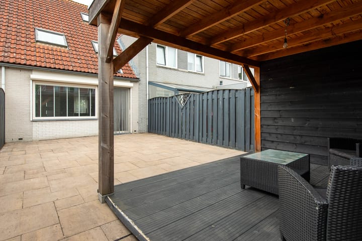 Foto 33 van Grauwe Gans 20