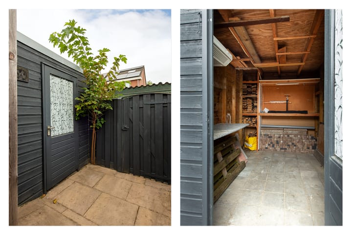 Foto 35 van Grauwe Gans 20