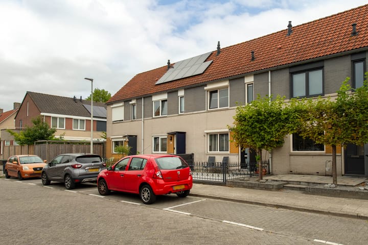 Foto 39 van Grauwe Gans 20