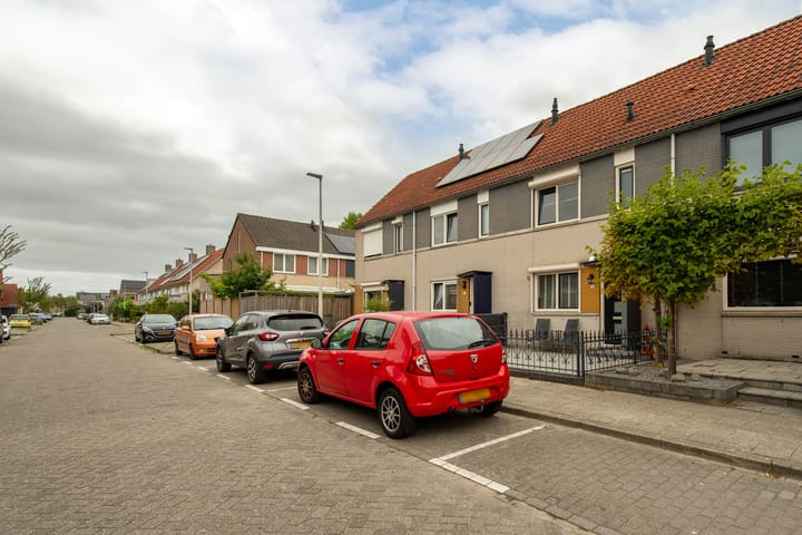 Foto 40 van Grauwe Gans 20