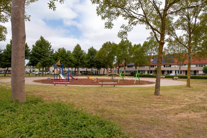 Foto 41 van Grauwe Gans 20