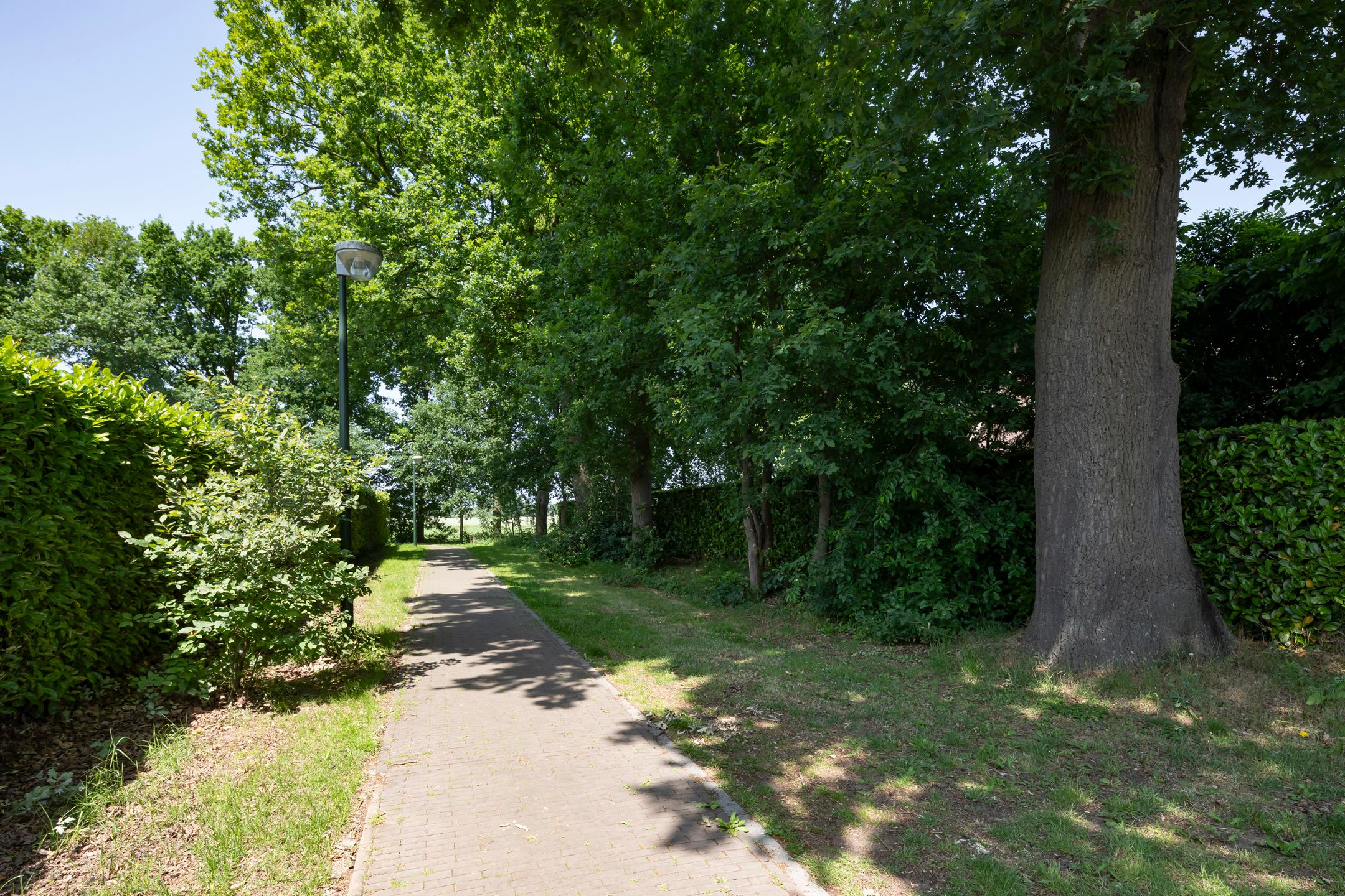 Foto 48 van Nieuwe Erven 12