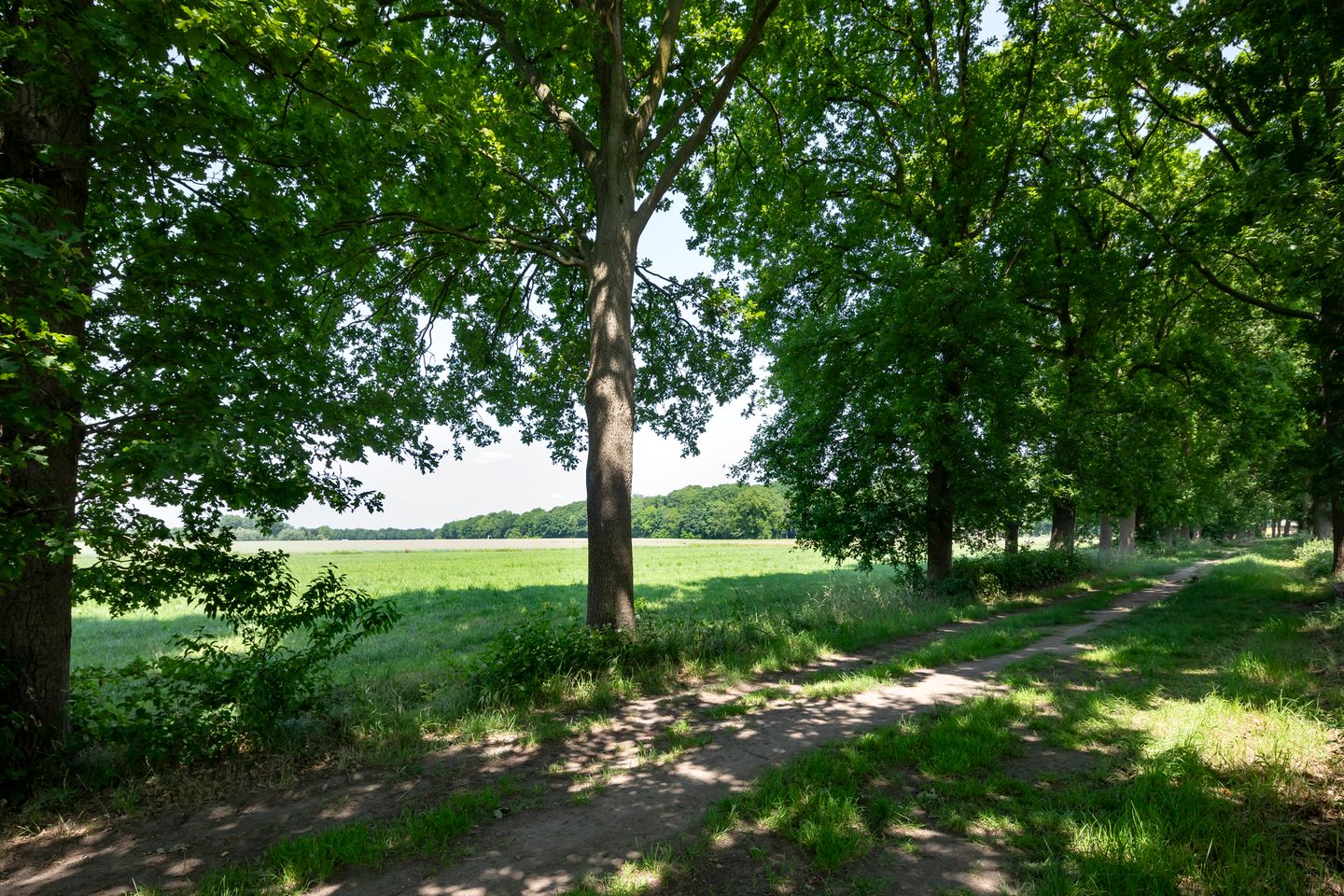 Foto 50 van Nieuwe Erven 12