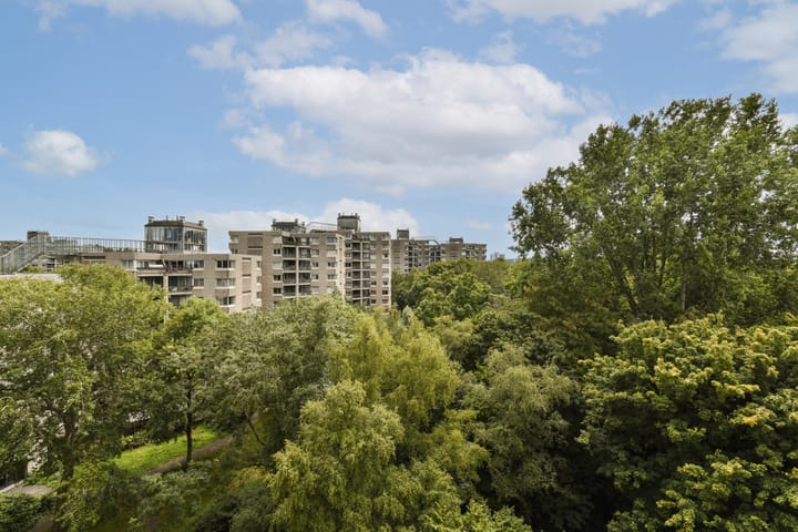 Foto 4 van Gouden Leeuw 836