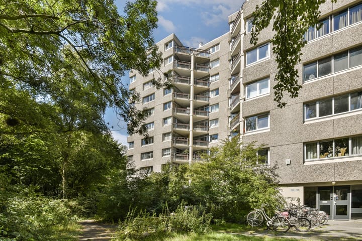 Photo 17 of Gouden Leeuw 836