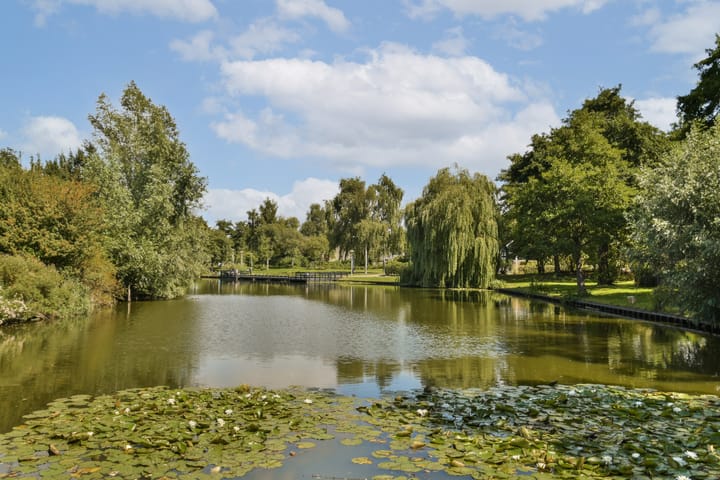 Photo 18 of Gouden Leeuw 836