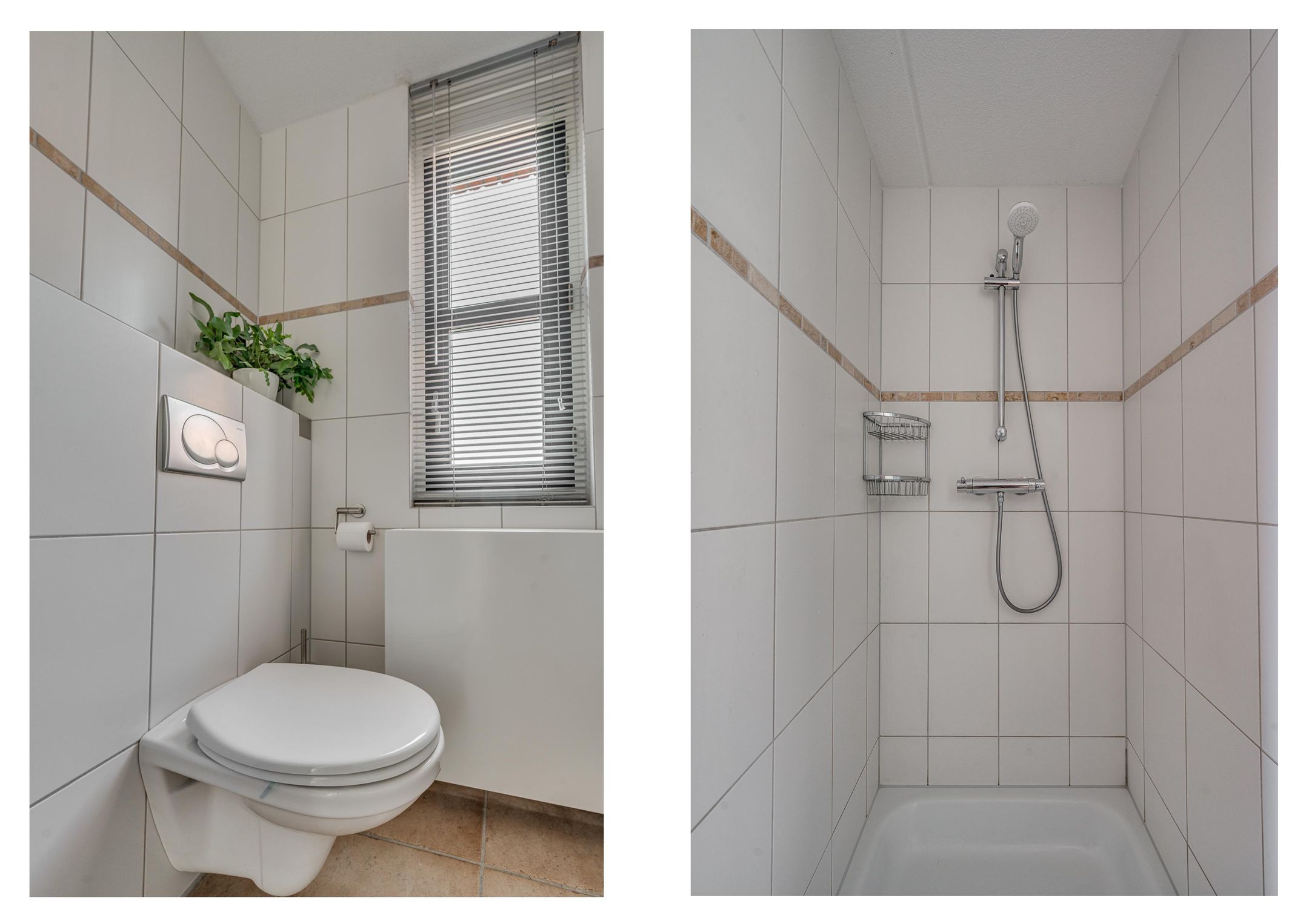 Foto 30 van Biest 106-C