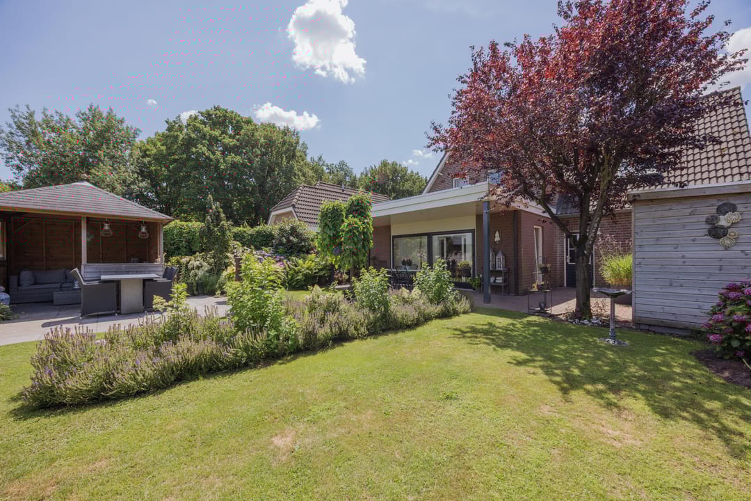 Photo 43 of Dissel 4