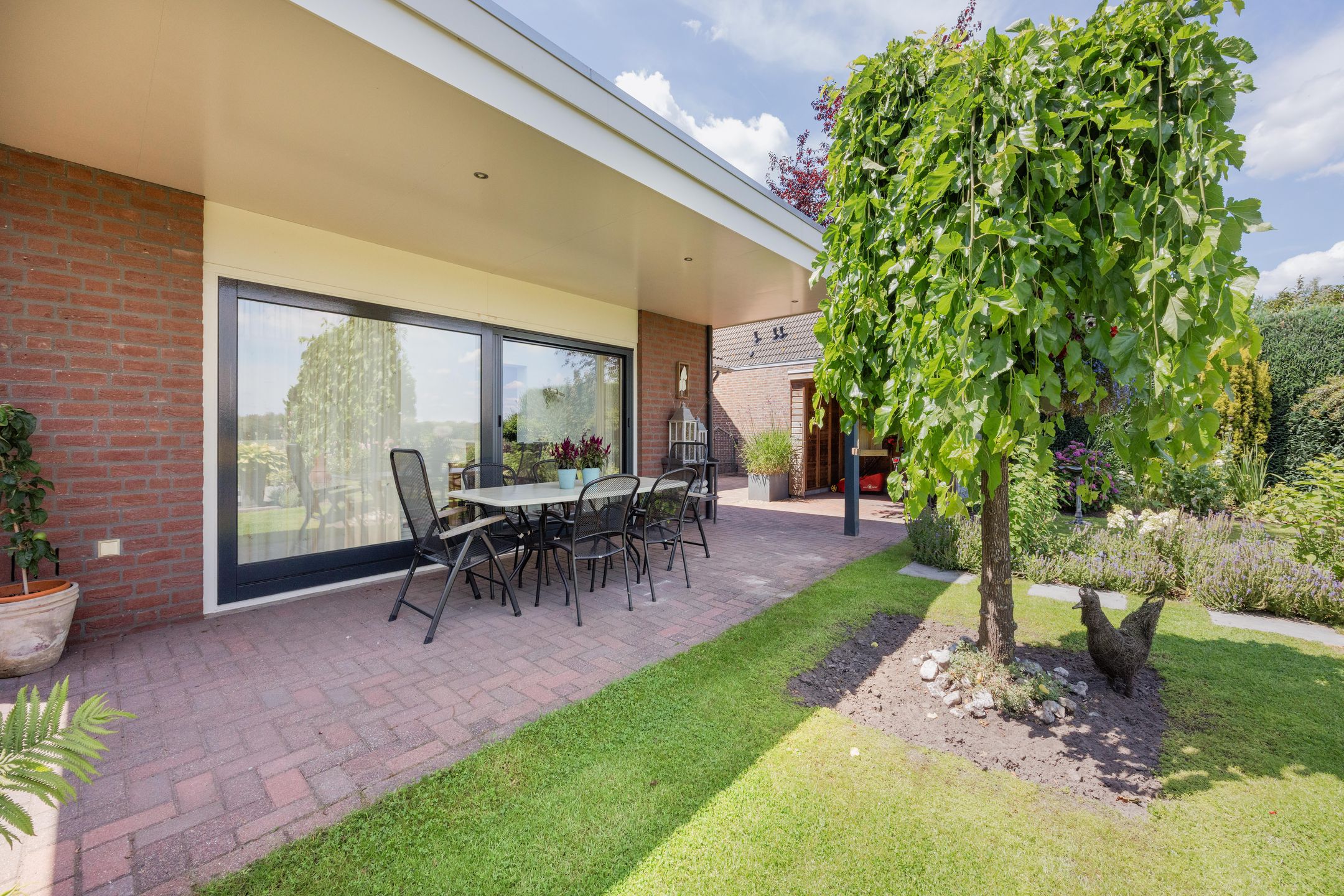 Photo 45 of Dissel 4