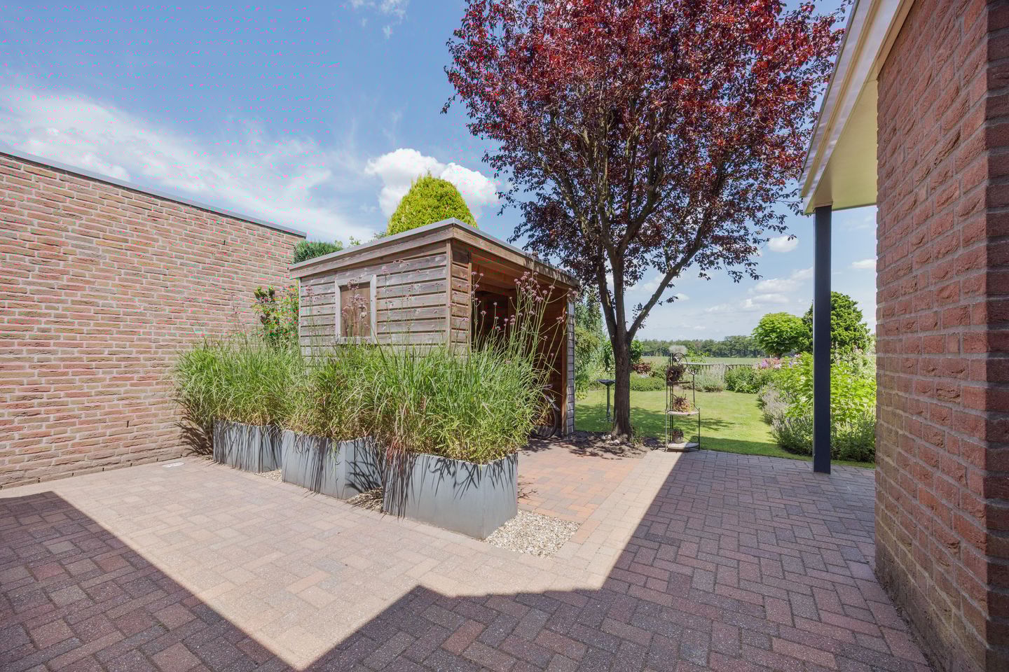 Photo 49 of Dissel 4