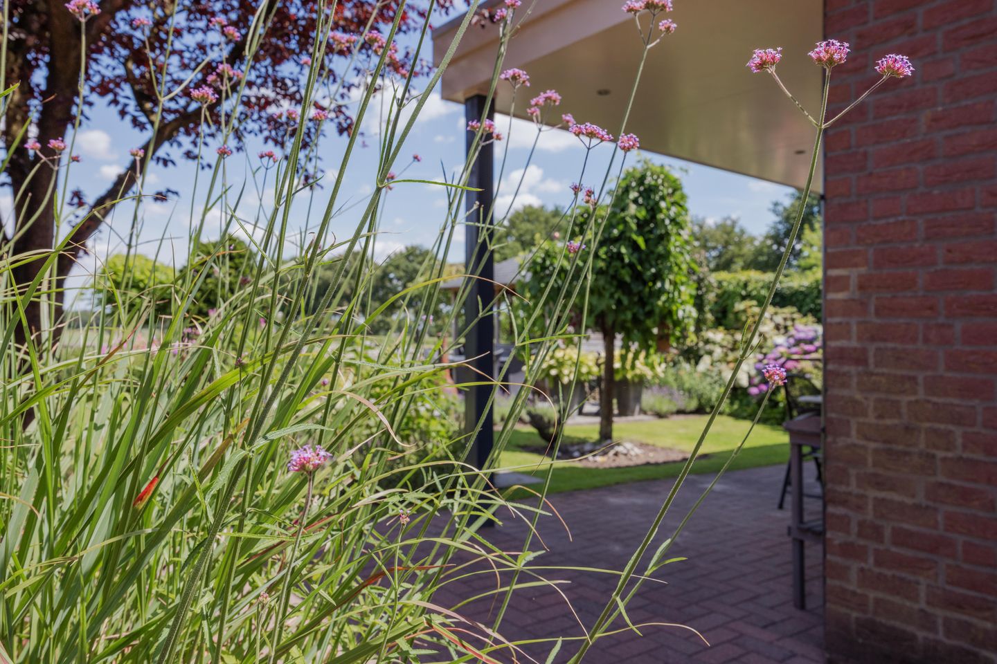 Photo 50 of Dissel 4