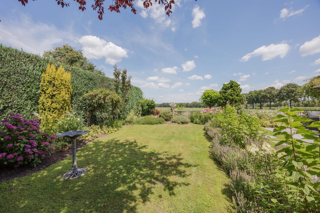 Photo 52 of Dissel 4