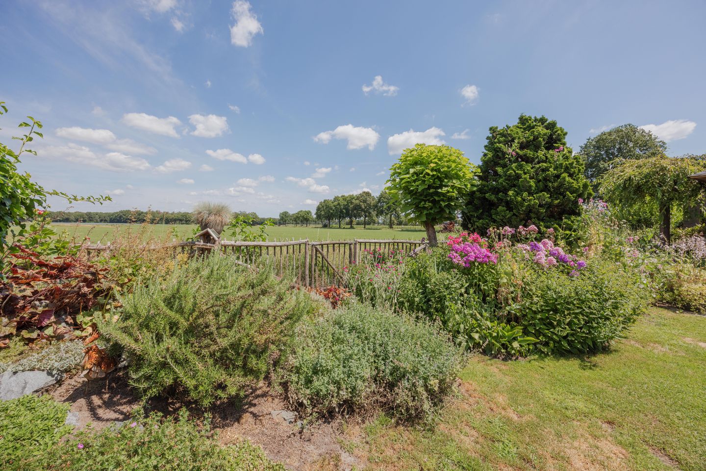 Photo 55 of Dissel 4