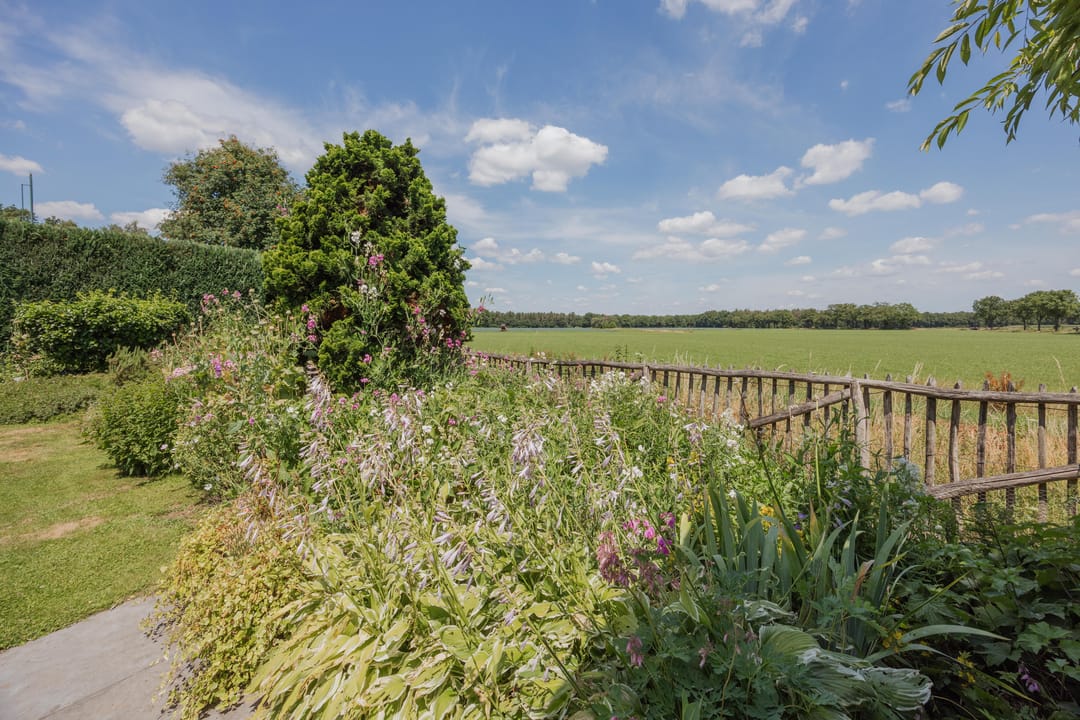 Photo 56 of Dissel 4