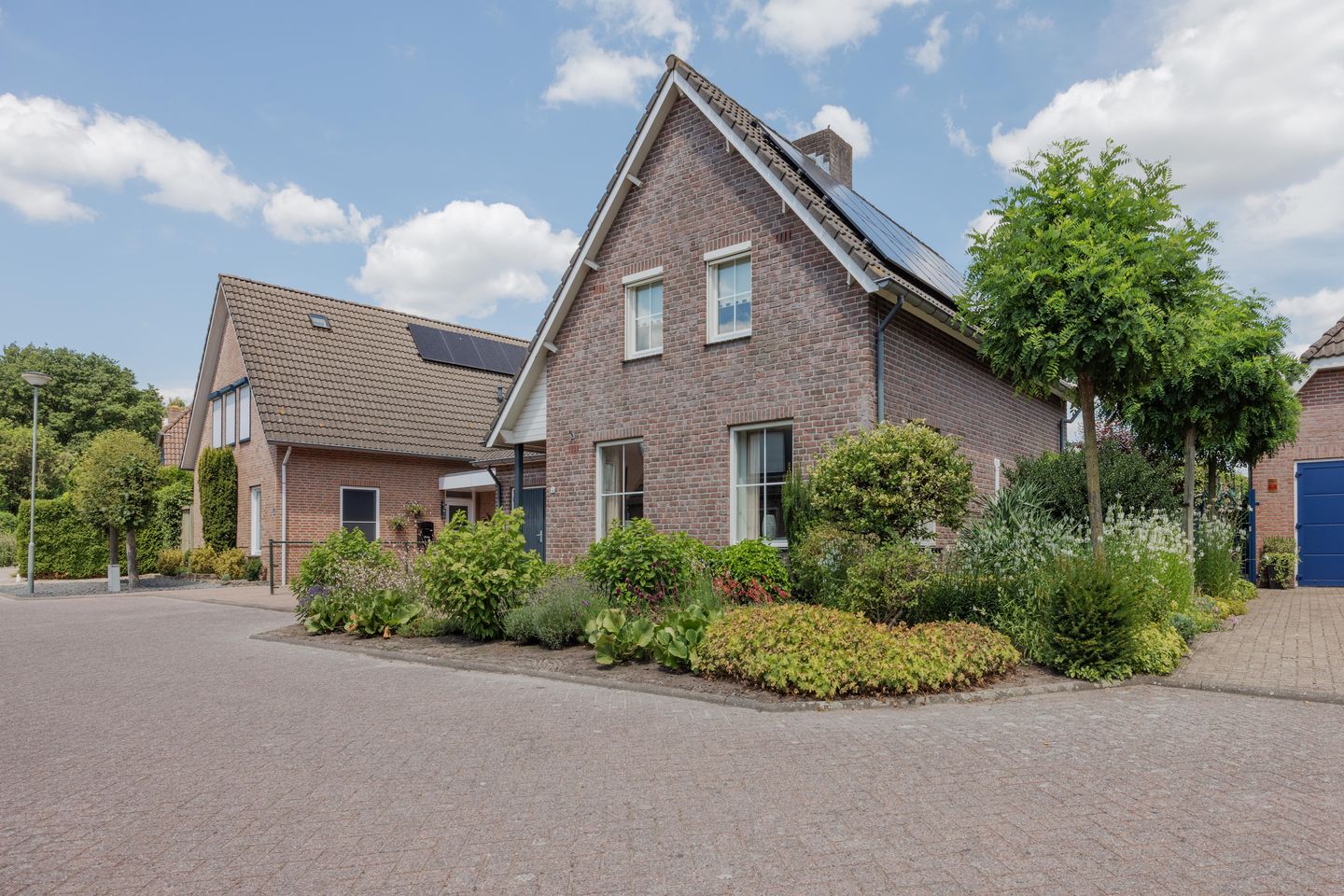 Photo 59 of Dissel 4