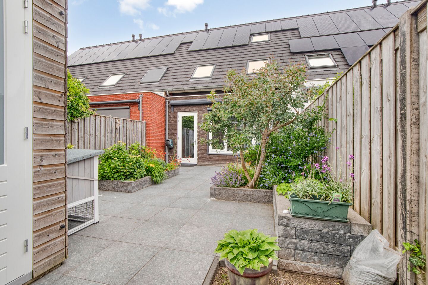 Photo 4 of Waterhoen 5