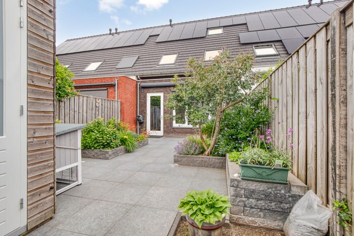 Foto 4 van Waterhoen 5