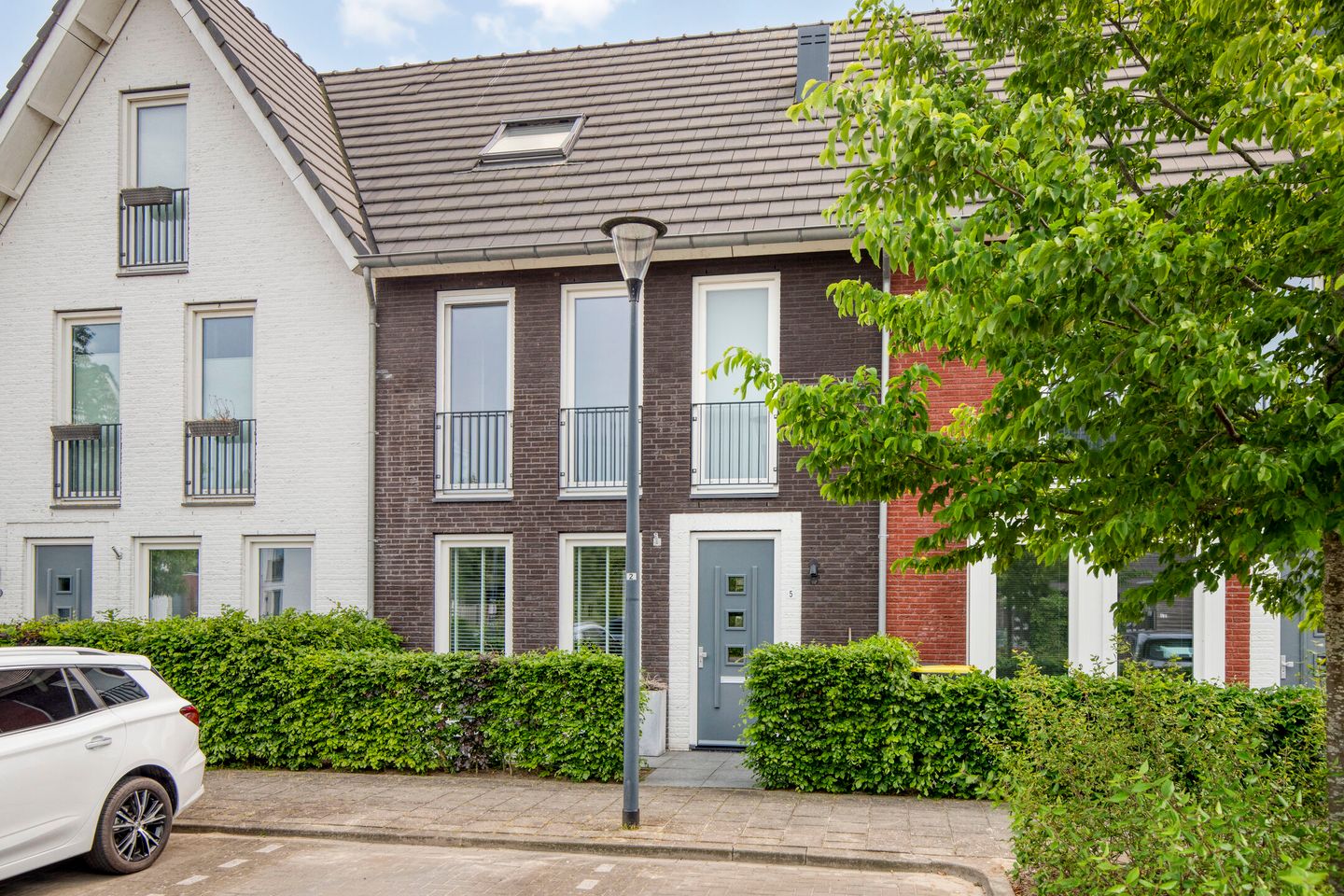 Photo 5 of Waterhoen 5