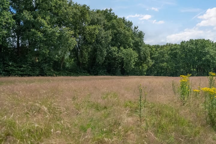 Foto 6 van Jan Fabriciuslaan 11