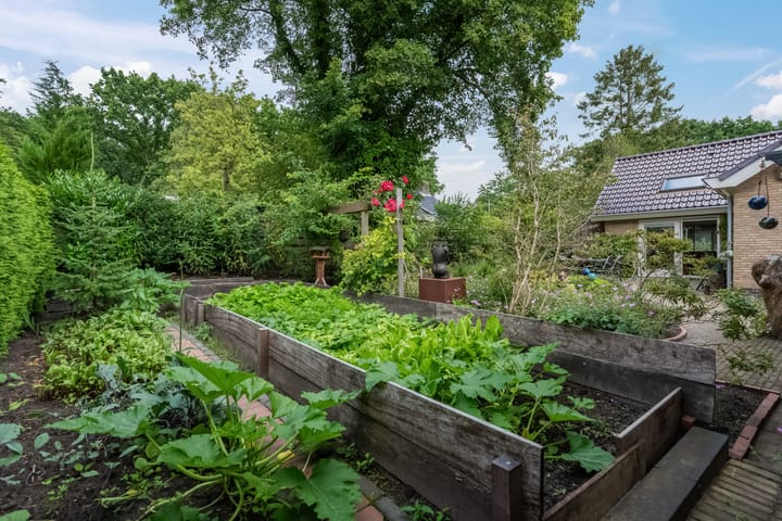 Foto 21 van Jan Fabriciuslaan 11