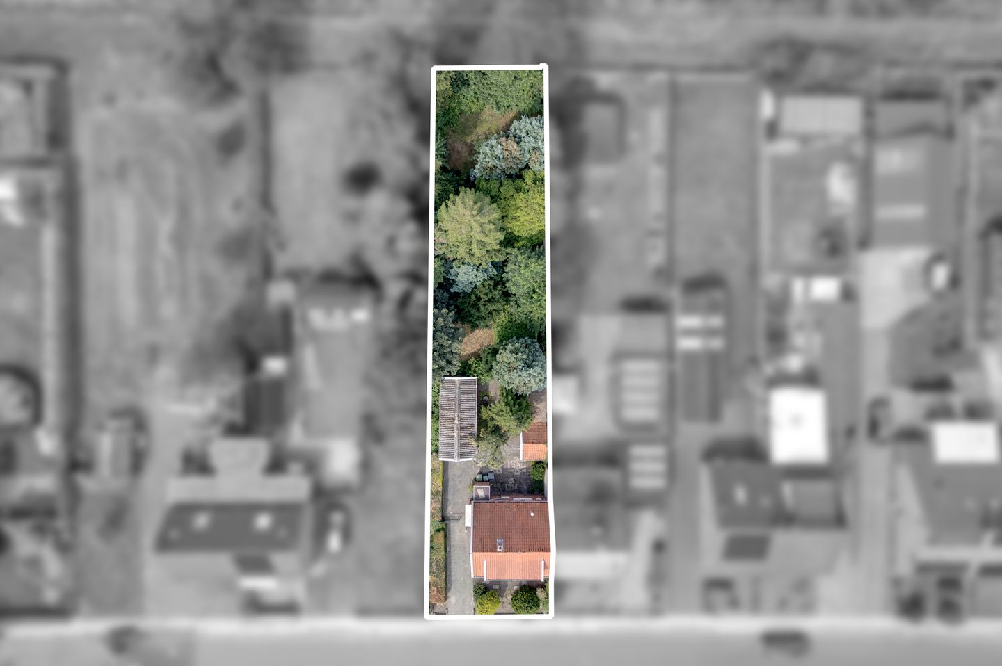 Foto 4 van Burg v Roijenstr West 50