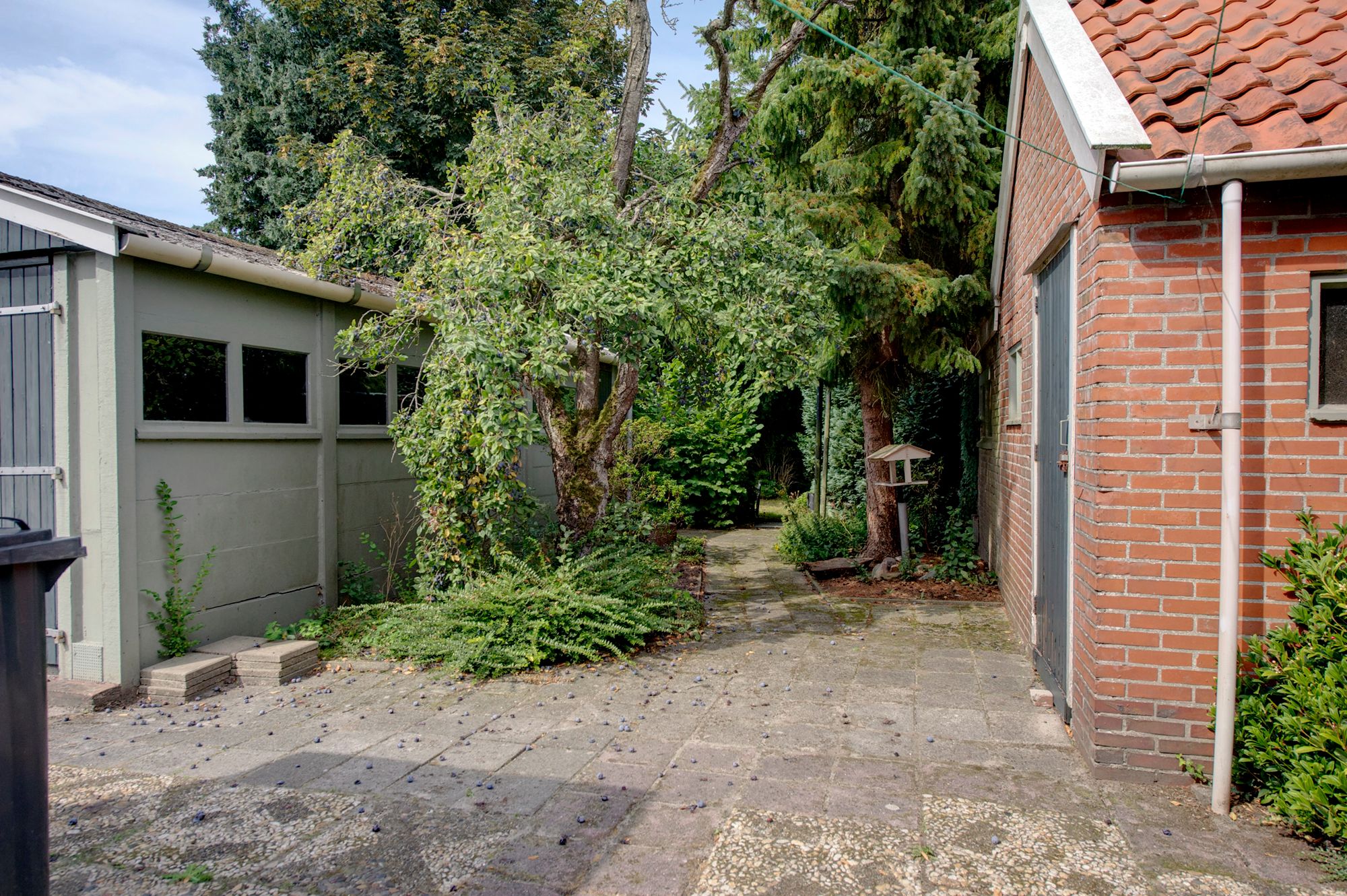 Foto 12 van Burg v Roijenstr West 50