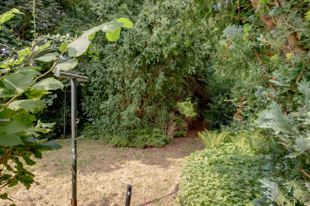 Foto 13 van Burg v Roijenstr West 50