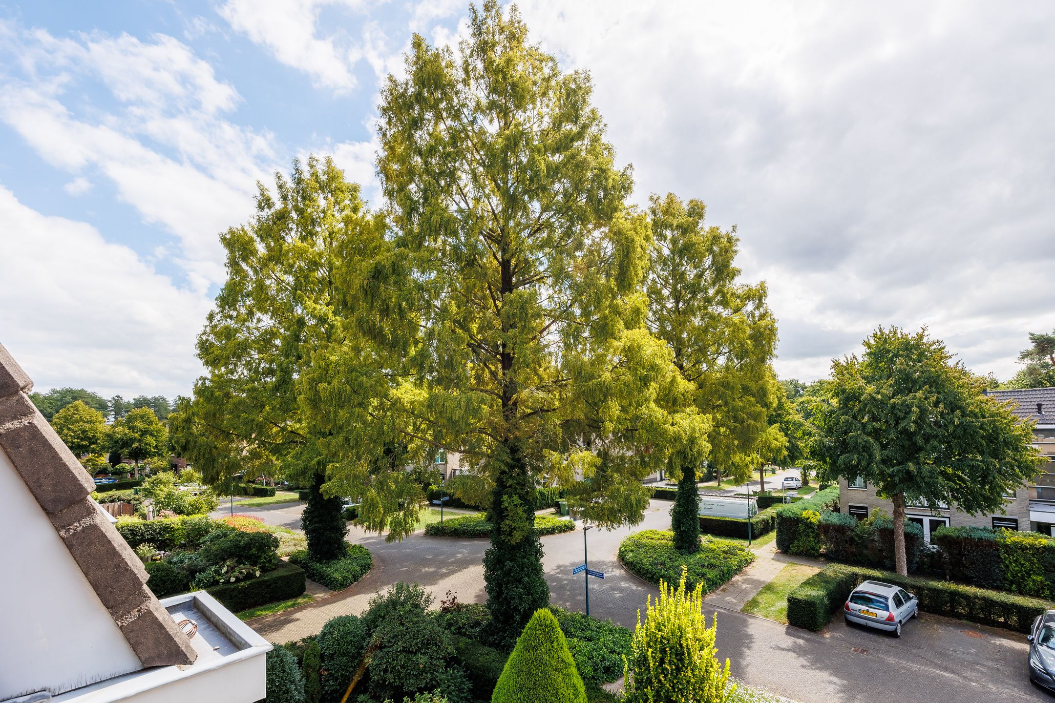 Foto 3 van Distelvinklaan 22