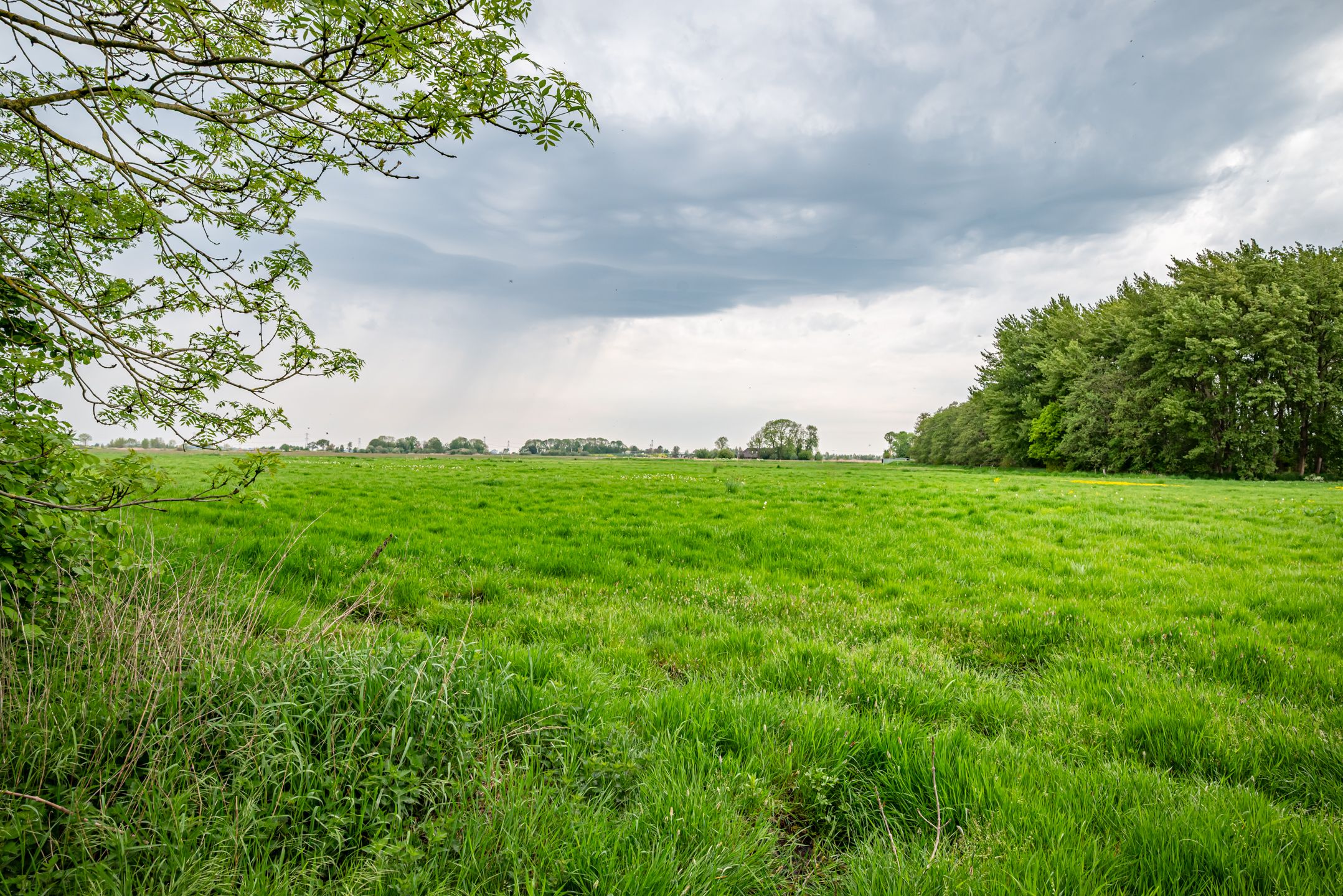 Photo 45 of Hasselterdijk 51-B