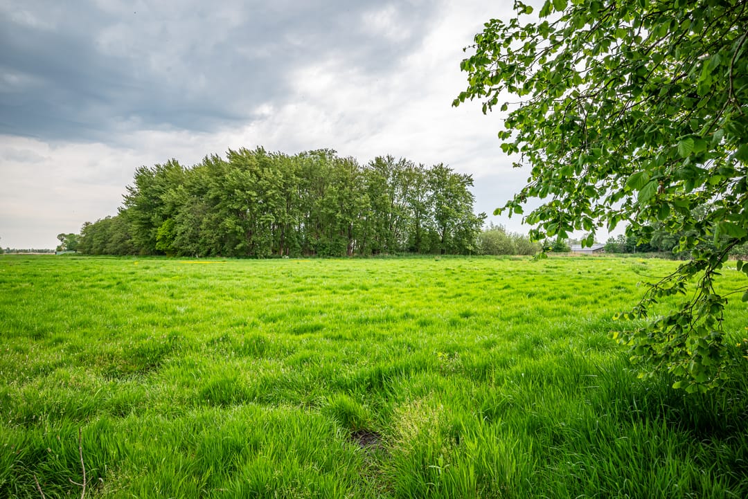 Photo 46 of Hasselterdijk 51-B