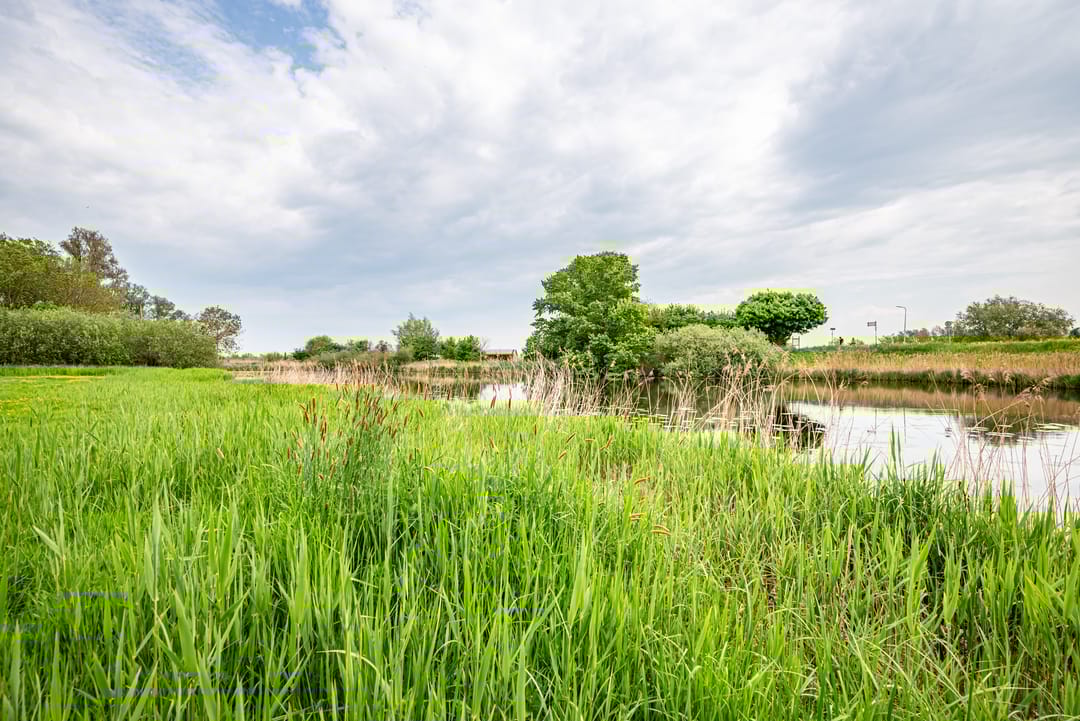 Photo 47 of Hasselterdijk 51-B