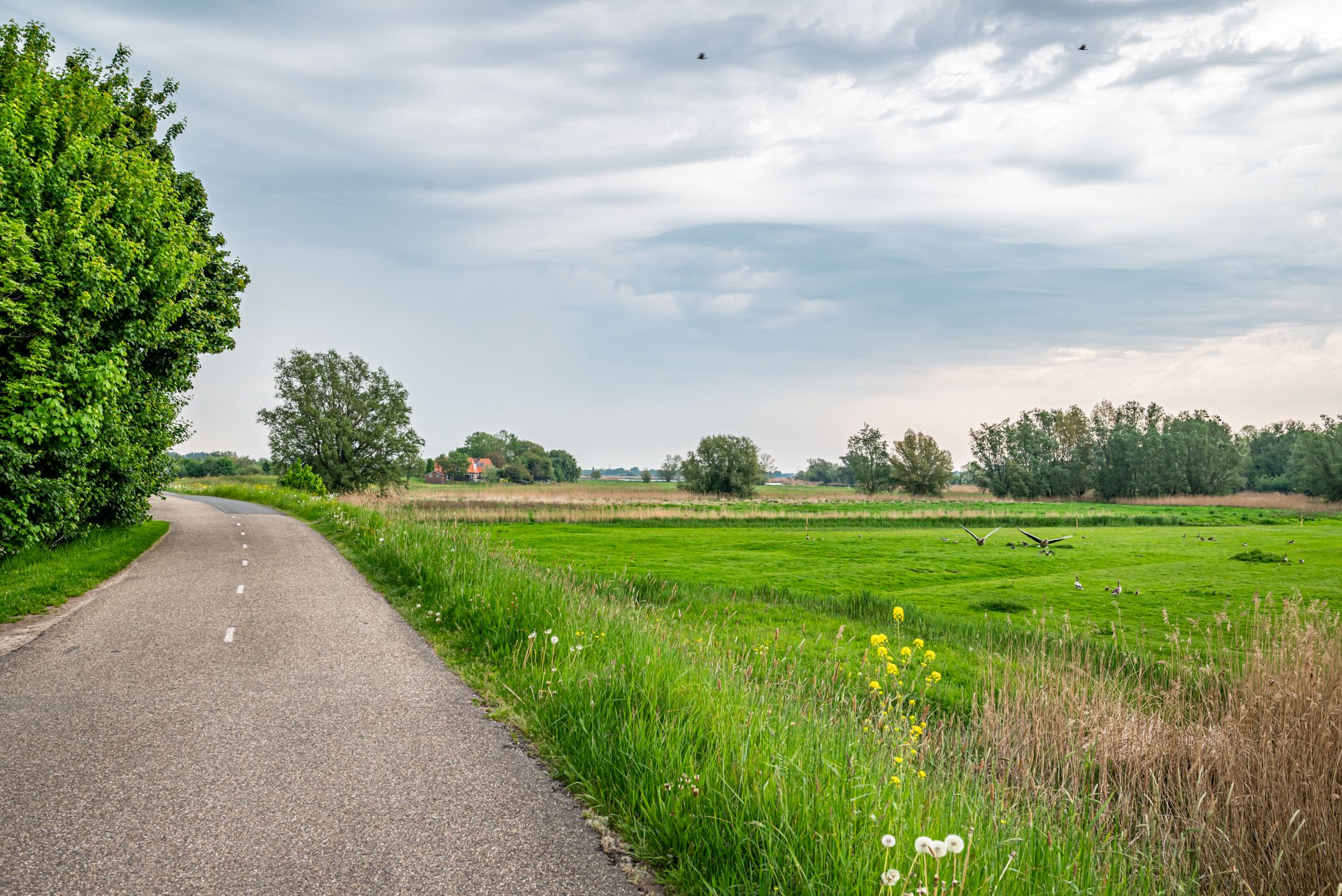 Photo 48 of Hasselterdijk 51-B