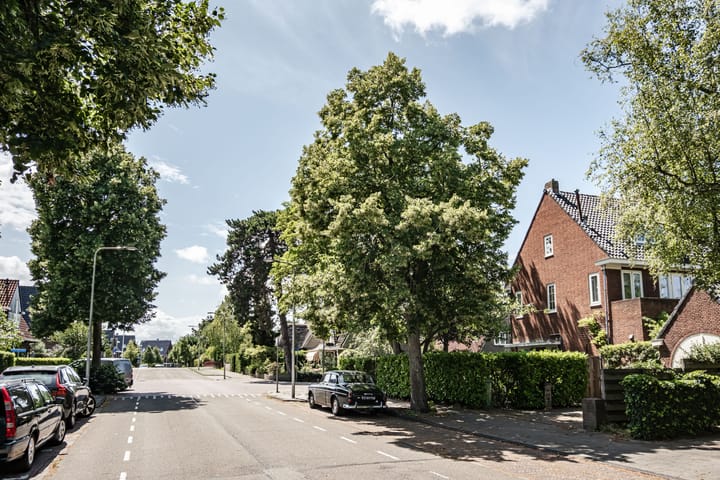 Foto 60 van H.W. Mesdaglaan 1