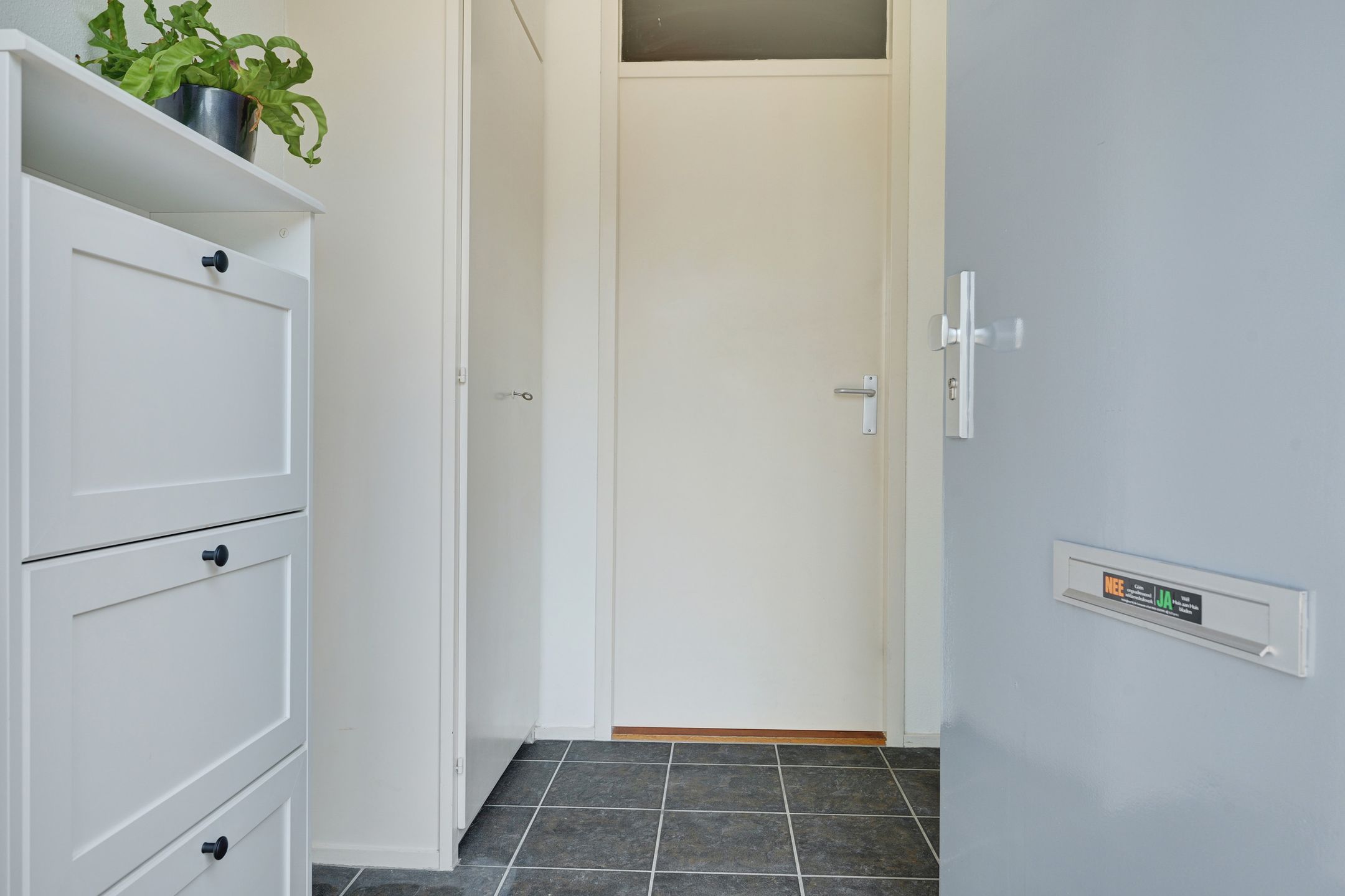 Foto 9 van Frans Halslaan 27