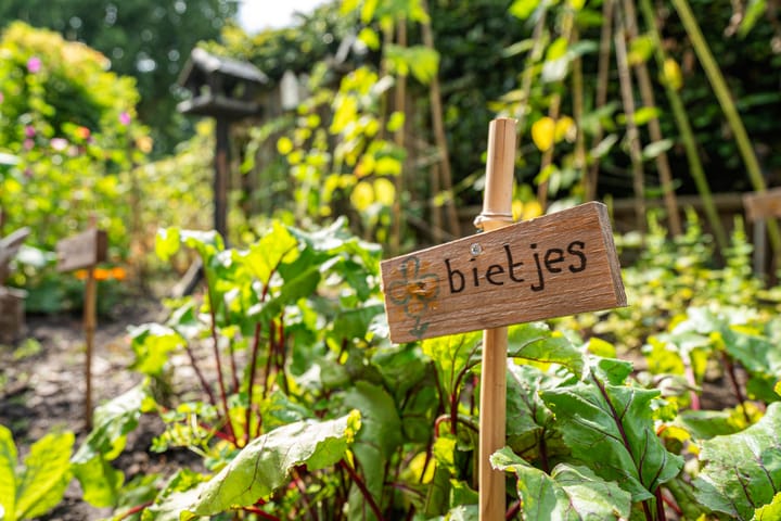 Foto 33 van Zuidenweg 5