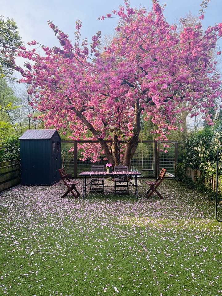 Foto 14 van Genhoes 17