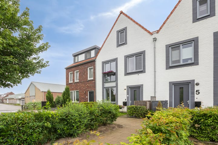 Foto 2 van Meiraap 3