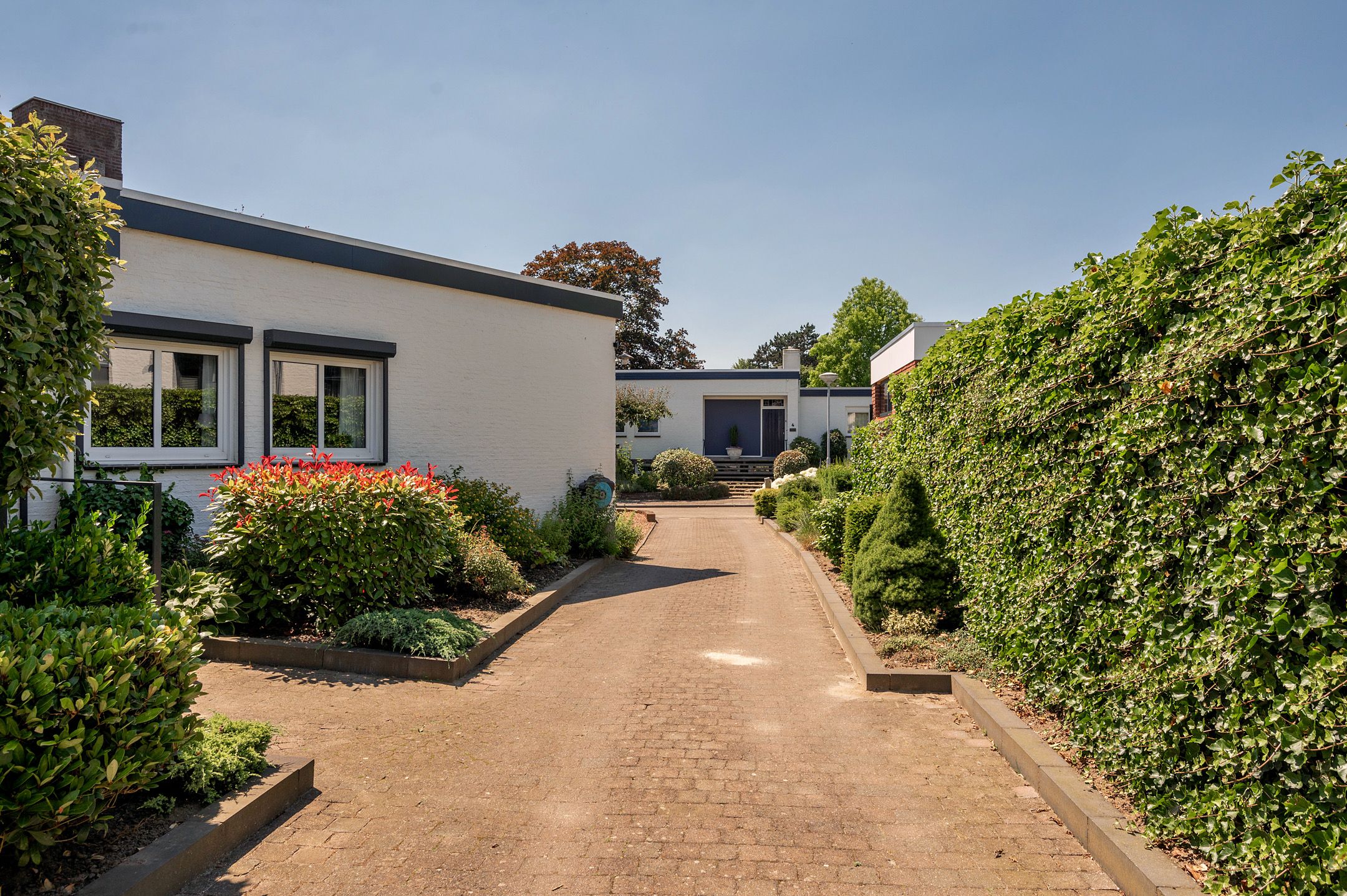 Foto 36 van Spinolapad 5