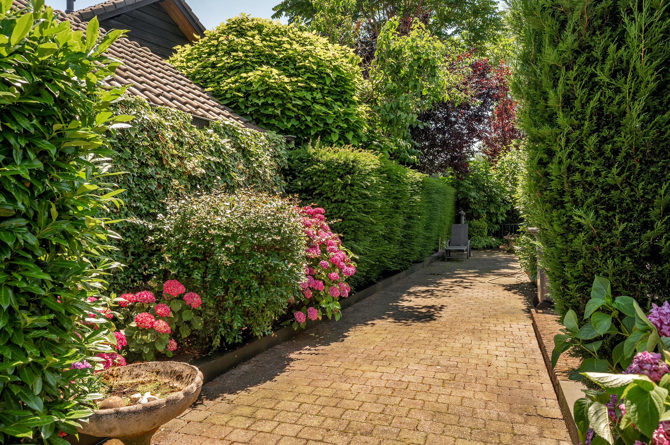 Foto 60 van Spinolapad 5