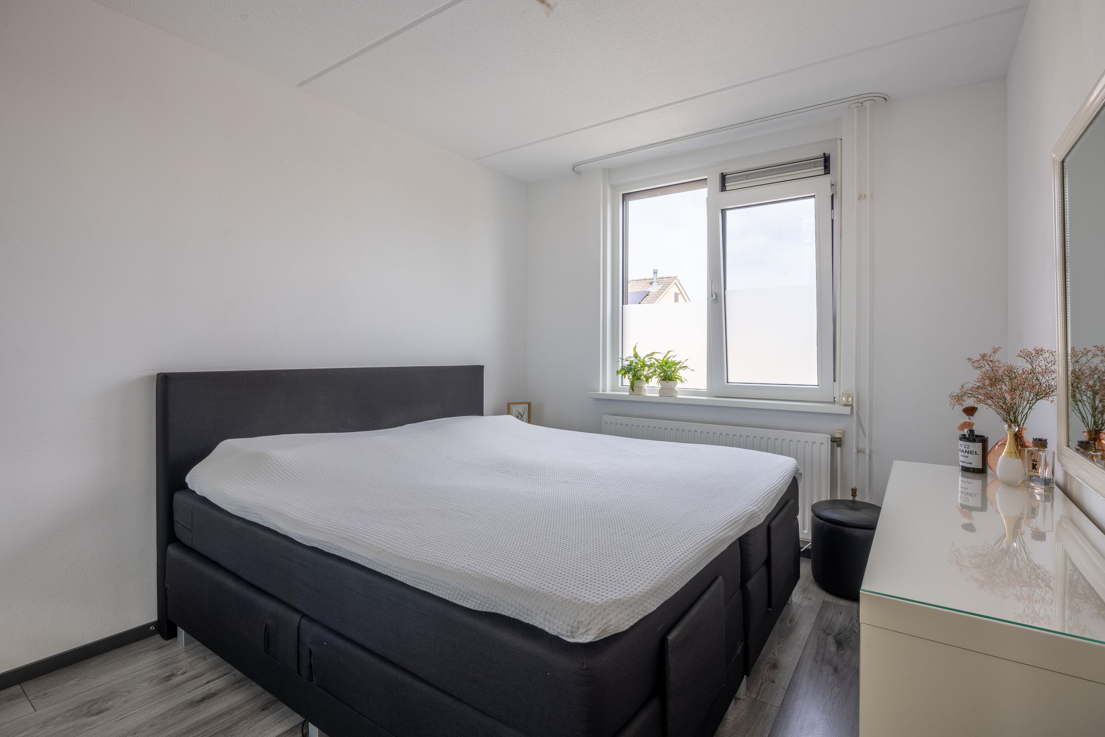 Foto 12 van Korenbloem 12