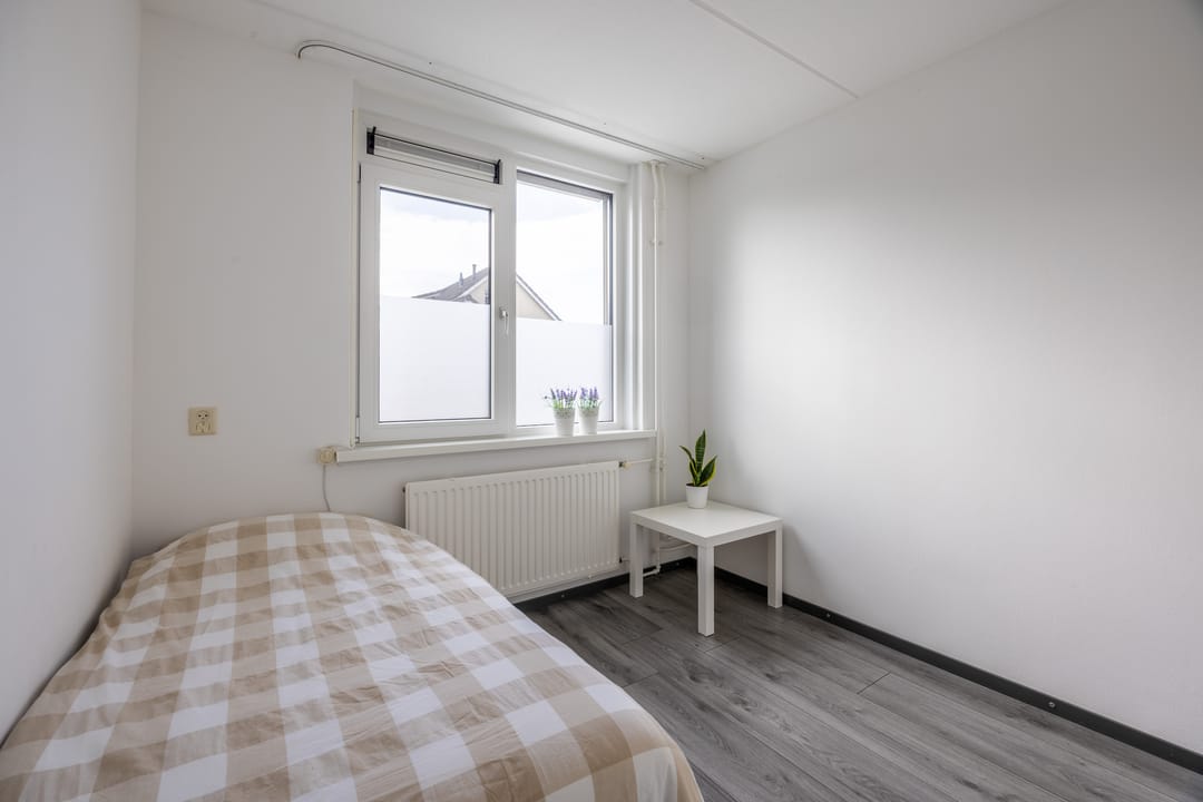 Foto 16 van Korenbloem 12