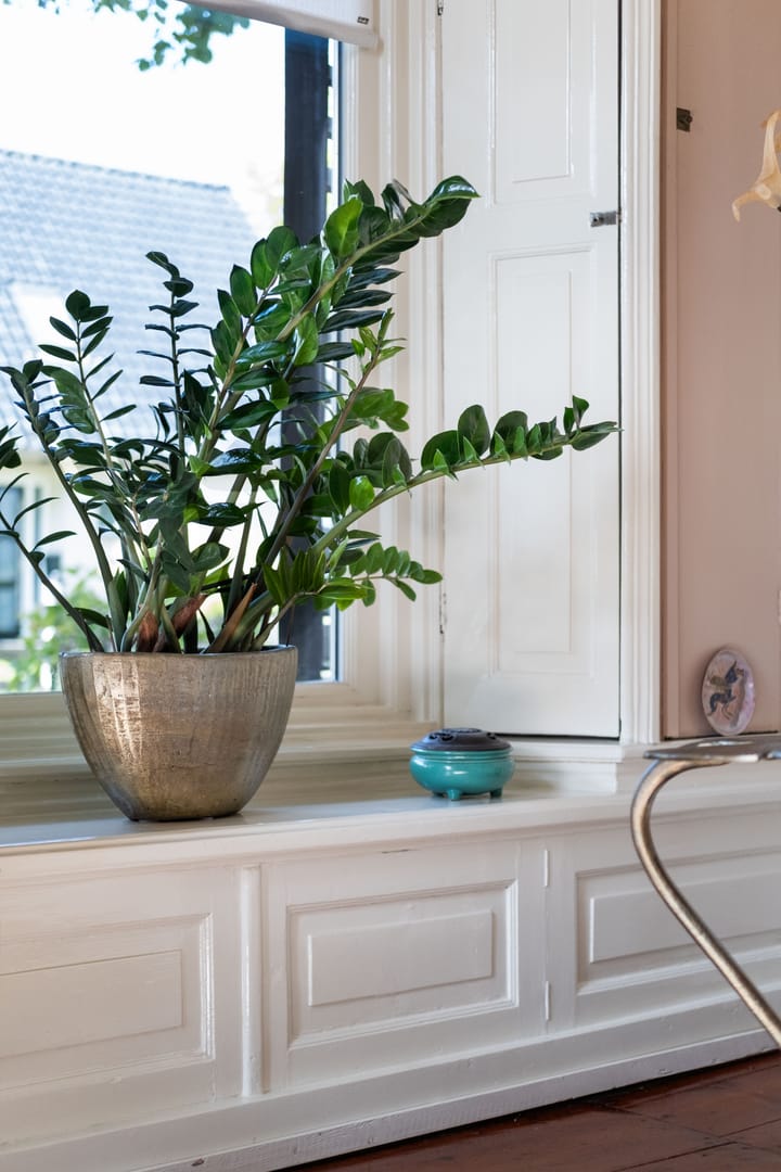 Foto 16 van De Buorren 10