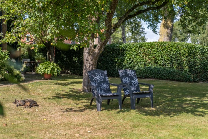 Foto 64 van De Buorren 10