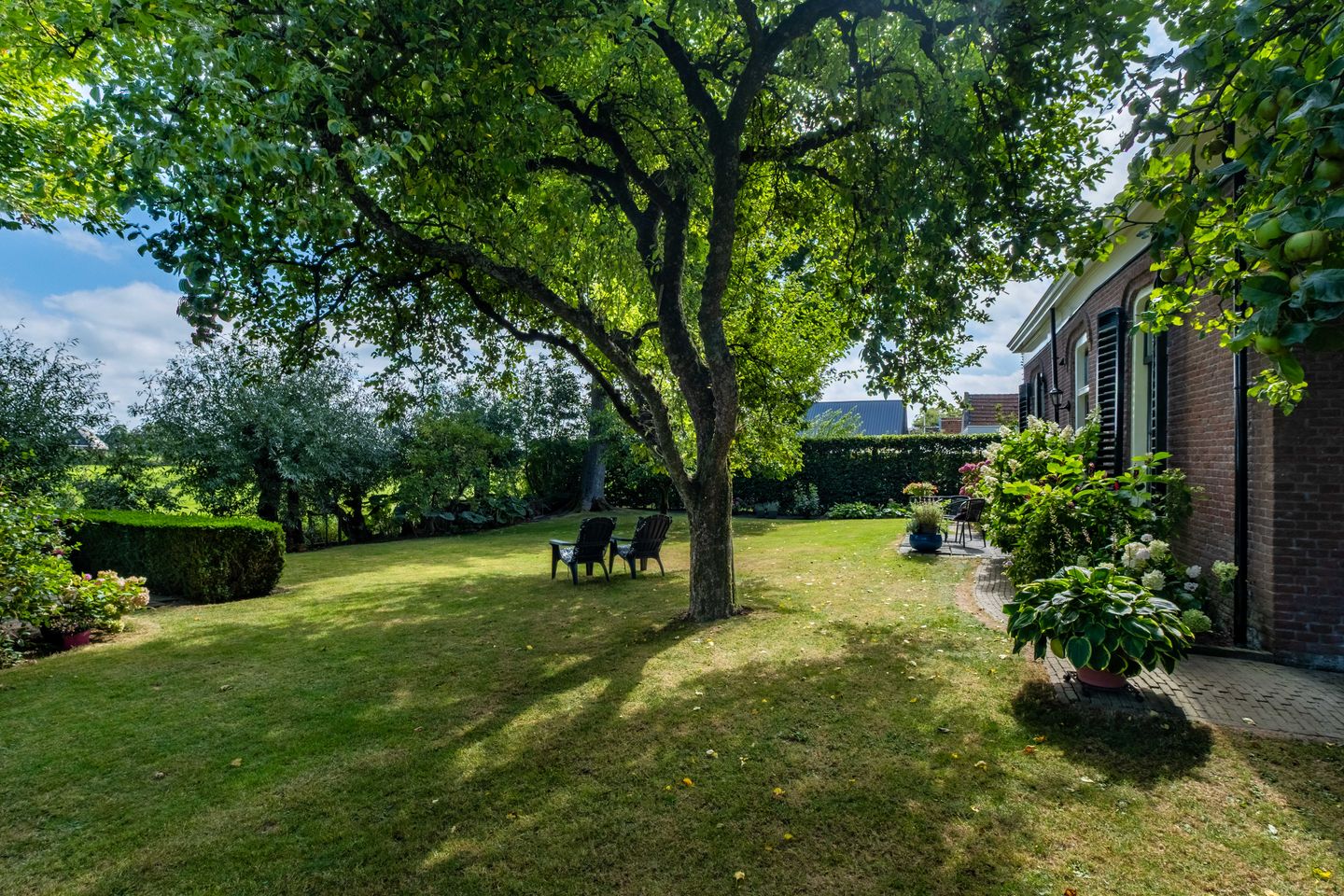 Foto 80 van De Buorren 10